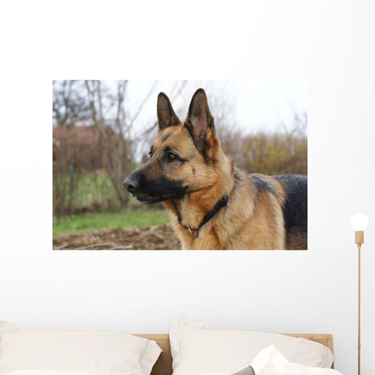 Deutscher Schferhund Wall Decal