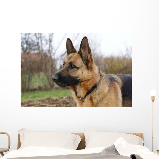 Deutscher Schferhund Wall Decal
