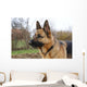 Deutscher Schferhund Wall Decal