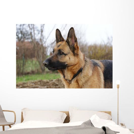 Deutscher Schferhund Wall Decal