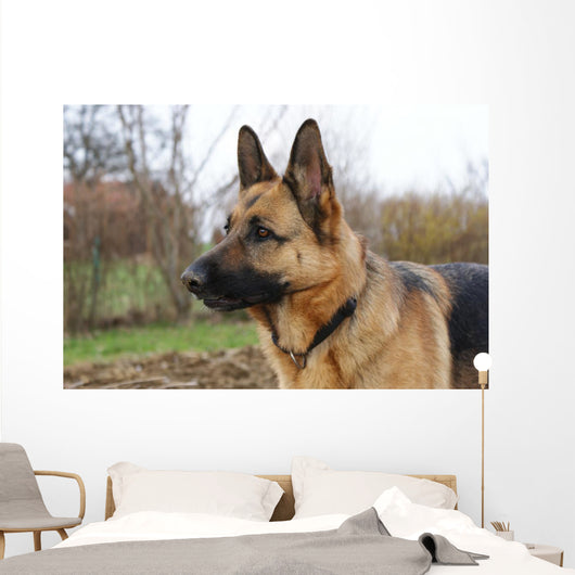 Deutscher Schferhund Wall Decal