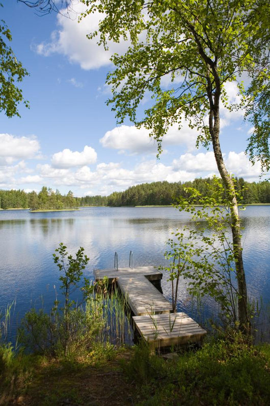Summer Lake Wall Decal Design 1