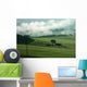 Morning Umbria Wall Decal