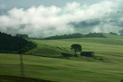 Morning Umbria Wall Decal