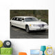 Stretch Limo Wall Decal