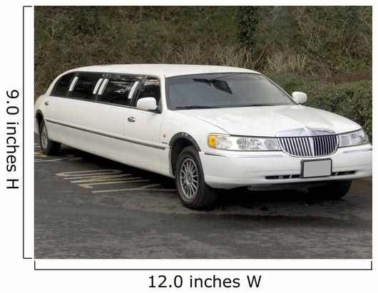 Stretch Limo Wall Decal