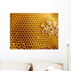 Honeycomb Shapes Wall Decal