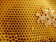 Honeycomb Shapes Wall Decal