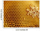 Honeycomb Shapes Wall Decal