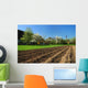 Field Wall Decal Design 4