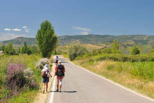 Pilgrims Walking Camino Santiago Wall Decal