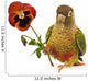 Green-cheeked Conure Wall Decal