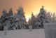 Marchenwald Oberhof Wall Decal
