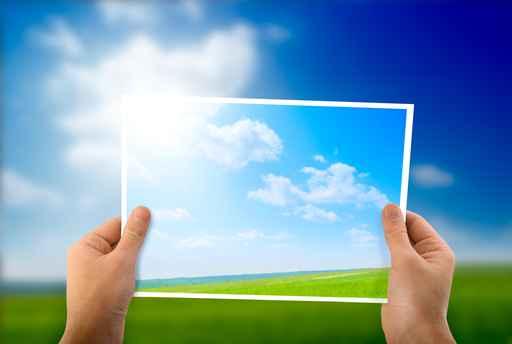 Photo Green Field Hands Wall Decal Design 1