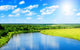 River and Summer Nature Wall Decal Design 2