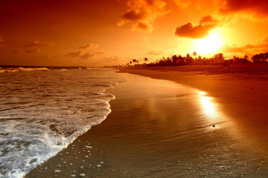 Ocean Sunrise Wall Decal