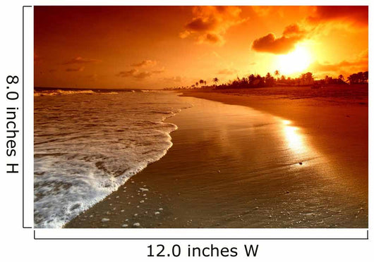 Ocean Sunrise Wall Decal