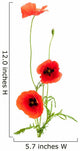 Fleurs Des Champs Coquelicots Wall Decal