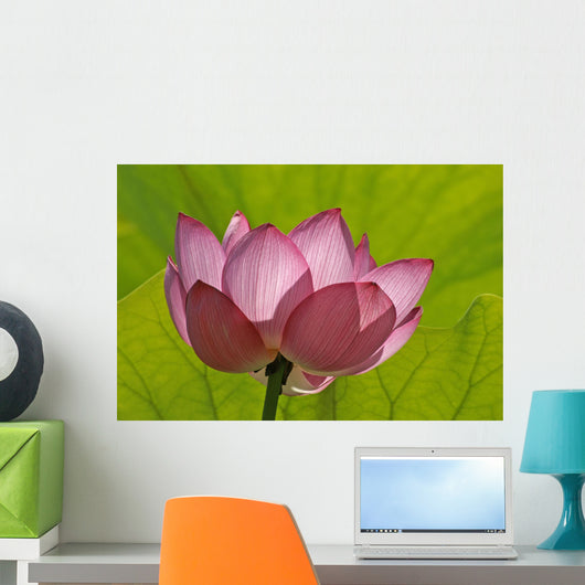 Lotus Flower W Lime Wall Decal