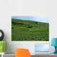 Vineyard France Wall Decal
