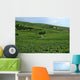 Vineyard France Wall Decal