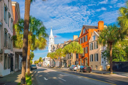 Historical Downtown Area Charleston Wall Decal