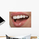 Teeth Wall Decal