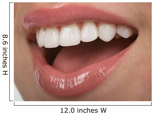 Teeth Wall Decal