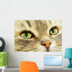 Cat Wall Decal