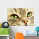 Cat Wall Decal