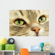 Cat Wall Decal