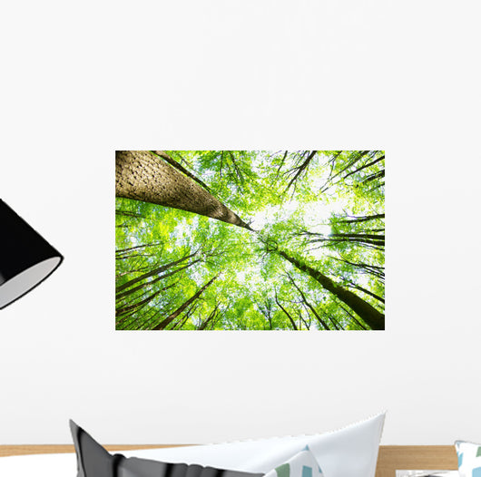Forest Wall Decal Design 4