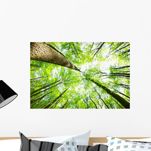 Forest Wall Decal Design 4