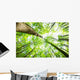 Forest Wall Decal Design 4