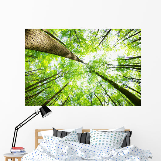Forest Wall Decal Design 4