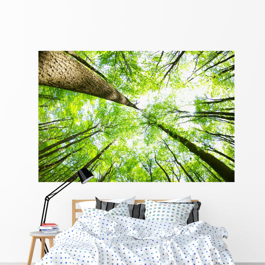 Forest Wall Decal Design 4