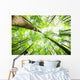Forest Wall Decal Design 4