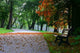 Herbst Wall Decal