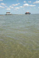 New Tchanque Arcachon Wall Decal