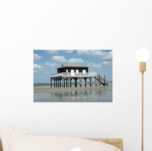 New Tchanque Wall Decal