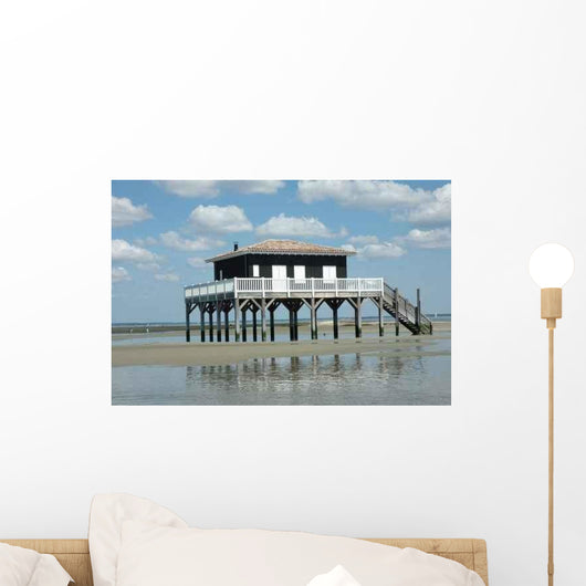 New Tchanque Wall Decal