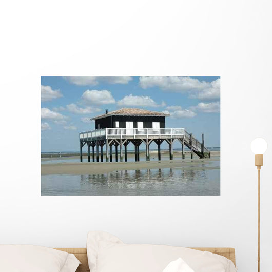 New Tchanque Wall Decal