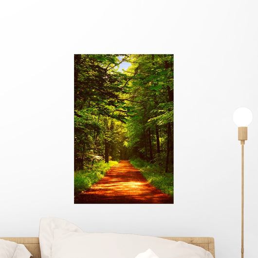 Waldweg Romantisch Romantic Wood Wall Decal