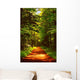 Waldweg Romantisch Romantic Wood Wall Decal