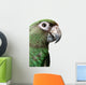 Young Parrot Wall Decal