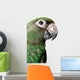 Young Parrot Wall Decal
