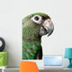 Young Parrot Wall Decal
