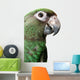 Young Parrot Wall Decal