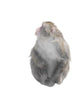 Japanese Macaque Monkey Look Wall Decal