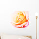 Delicate Yellow and Pink Wall Decal